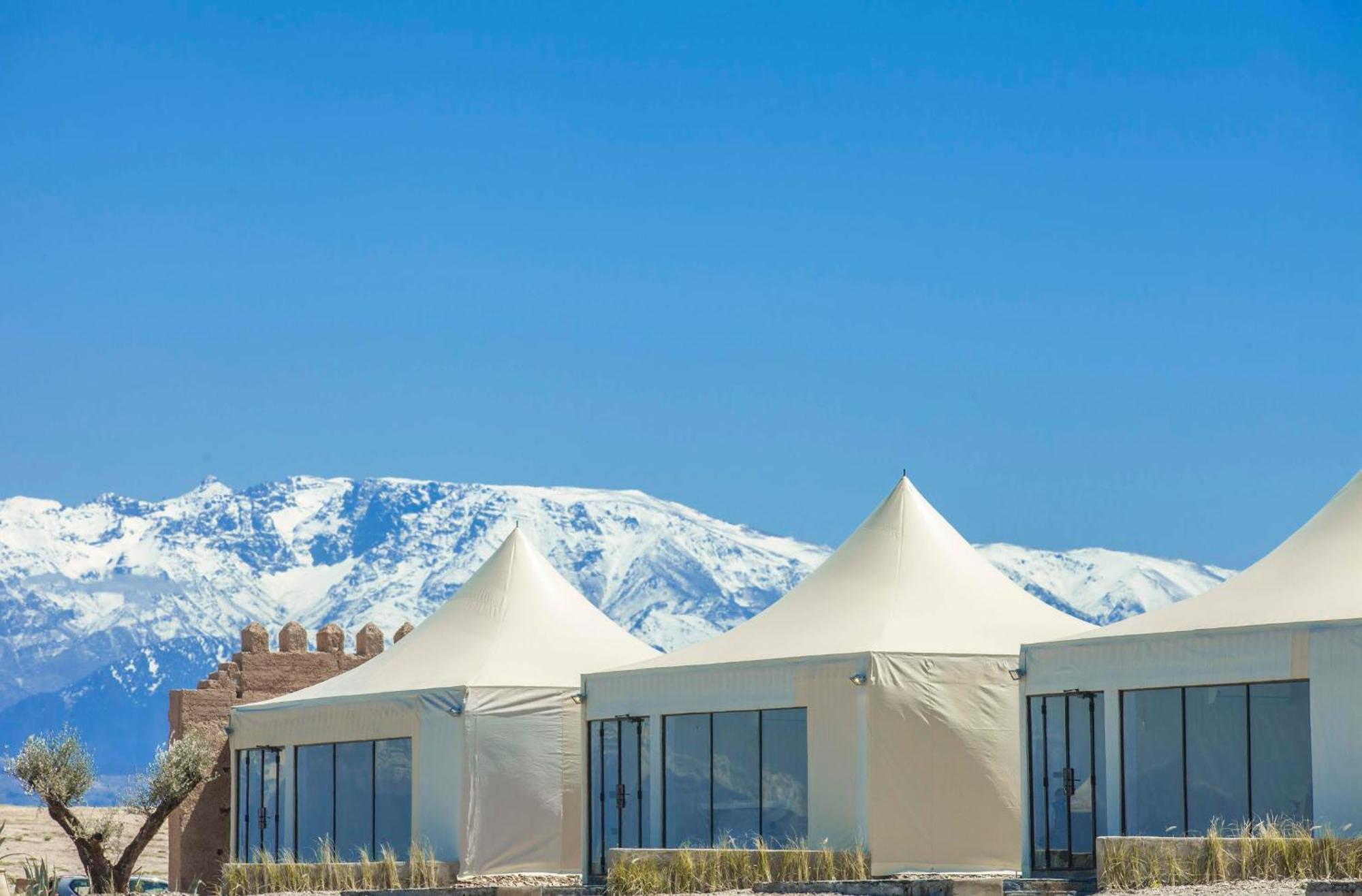 The White Camel Lodge *